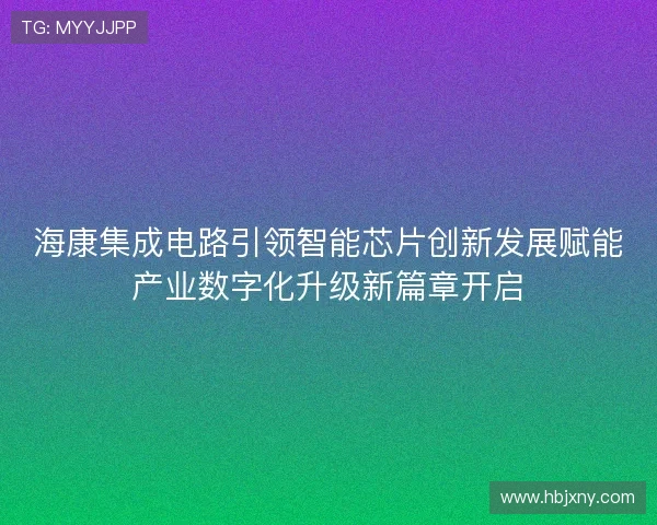 海康集成电路引领智能芯片创新发展赋能产业数字化升级新篇章开启